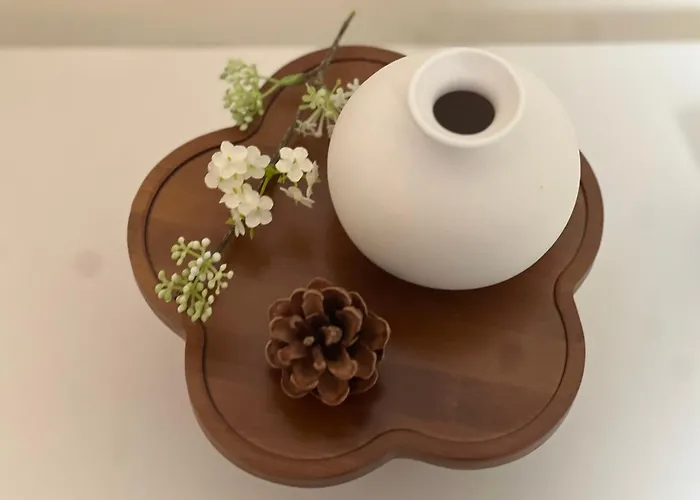 公寓式飯店 Healing House 首爾